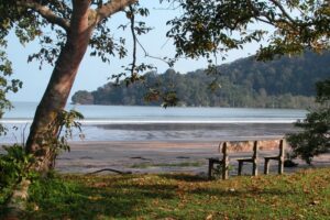 Finding peace in divorce.